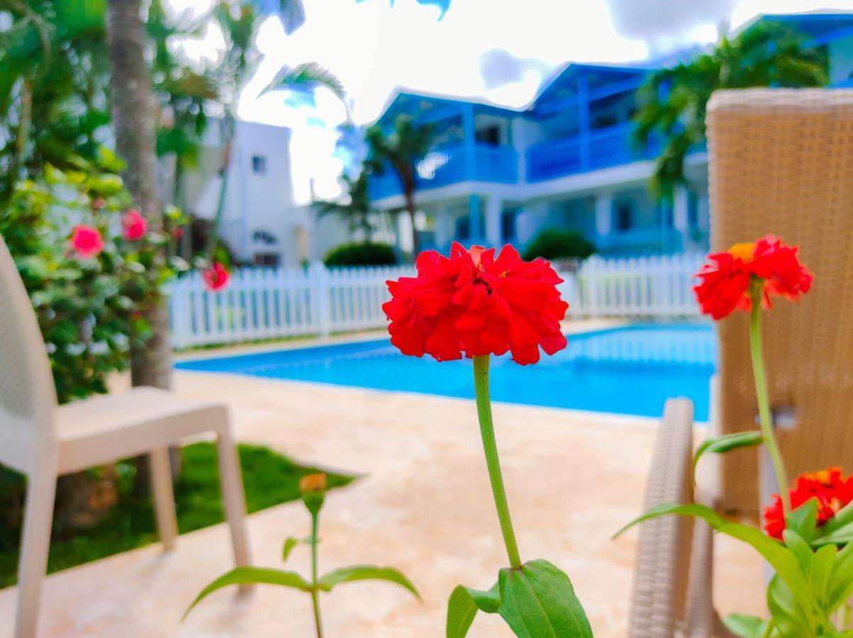 B&B Aparthotel La Isleta Las Galeras Εξωτερικό φωτογραφία